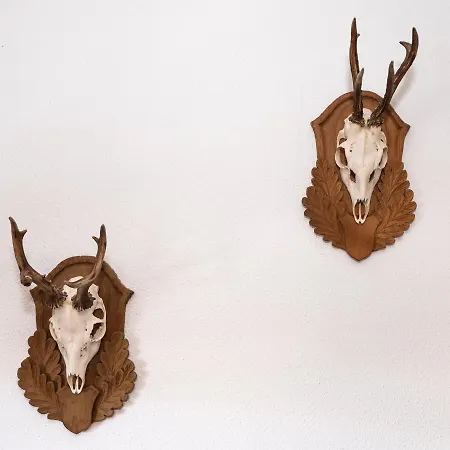 Bernstein Διαμέρισμα *