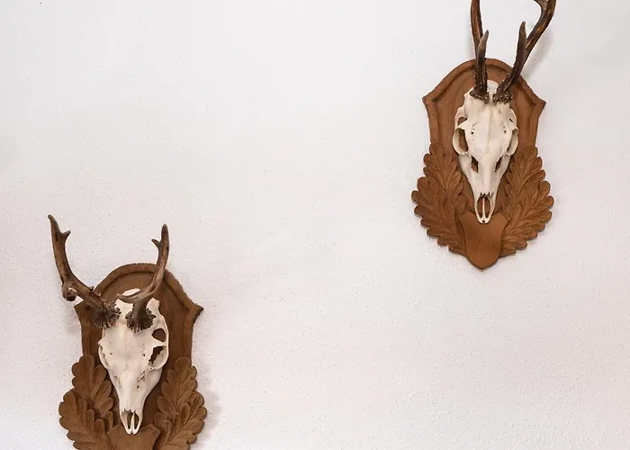 Bernstein Lägenhet *